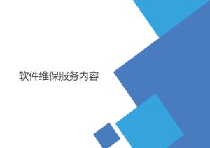 軟件維保服務內容